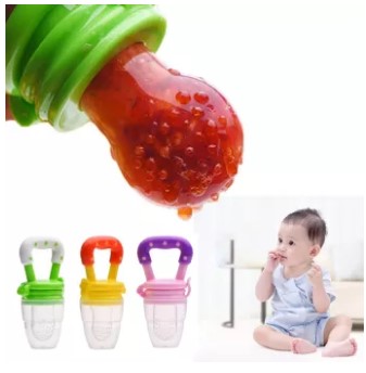 Baby Fruit Feeder Pacifier
